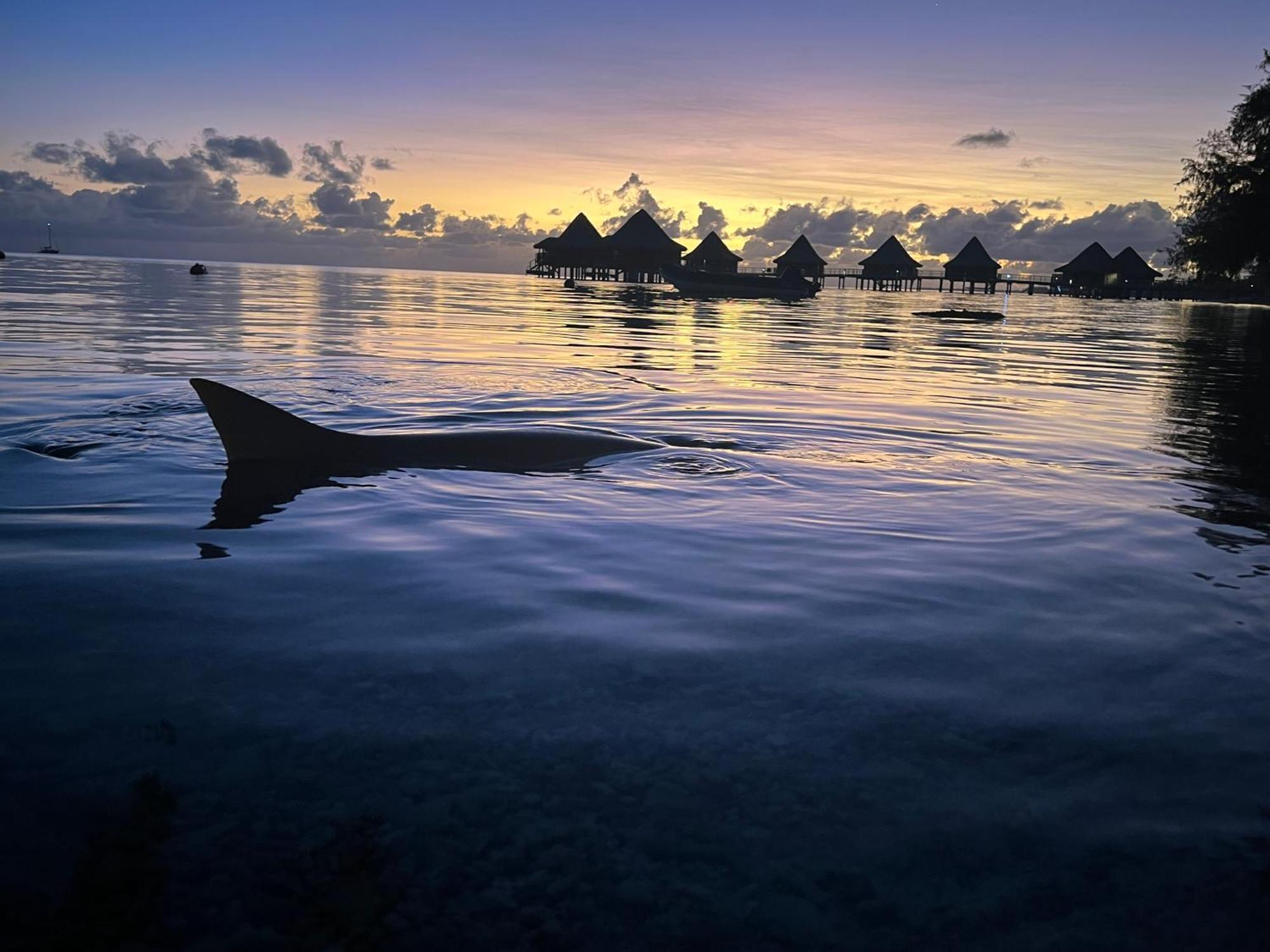 Hinamoe Lodge Avatoru Luaran gambar