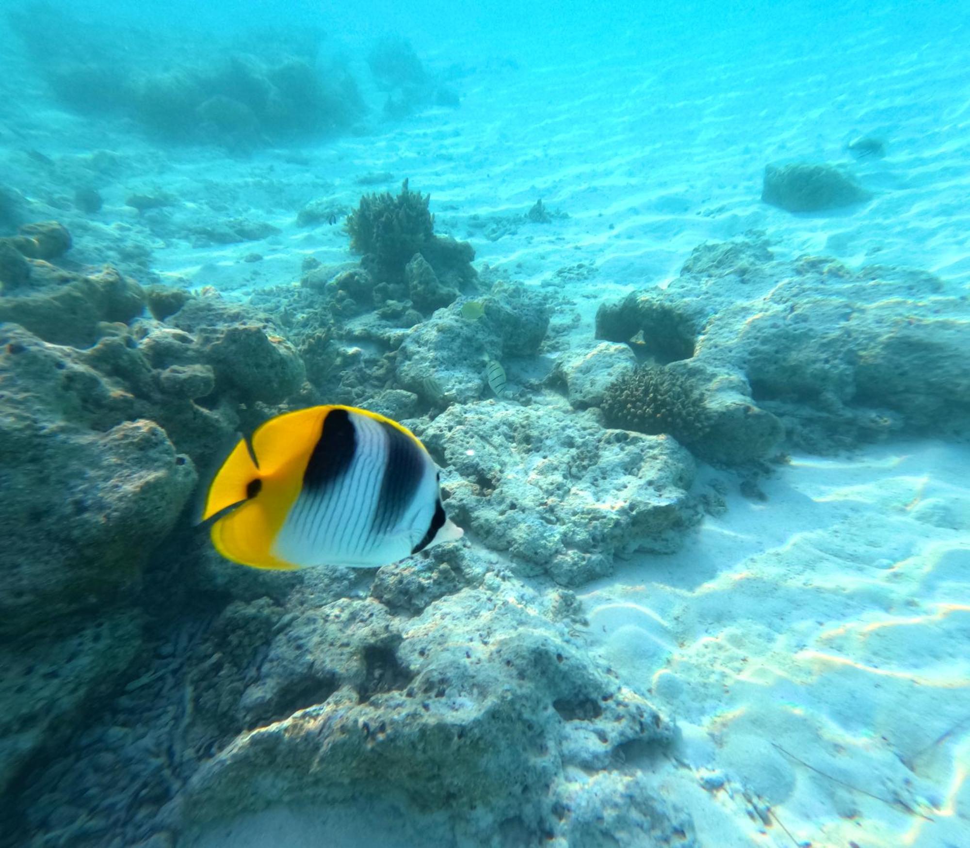 Hinamoe Lodge Avatoru Luaran gambar