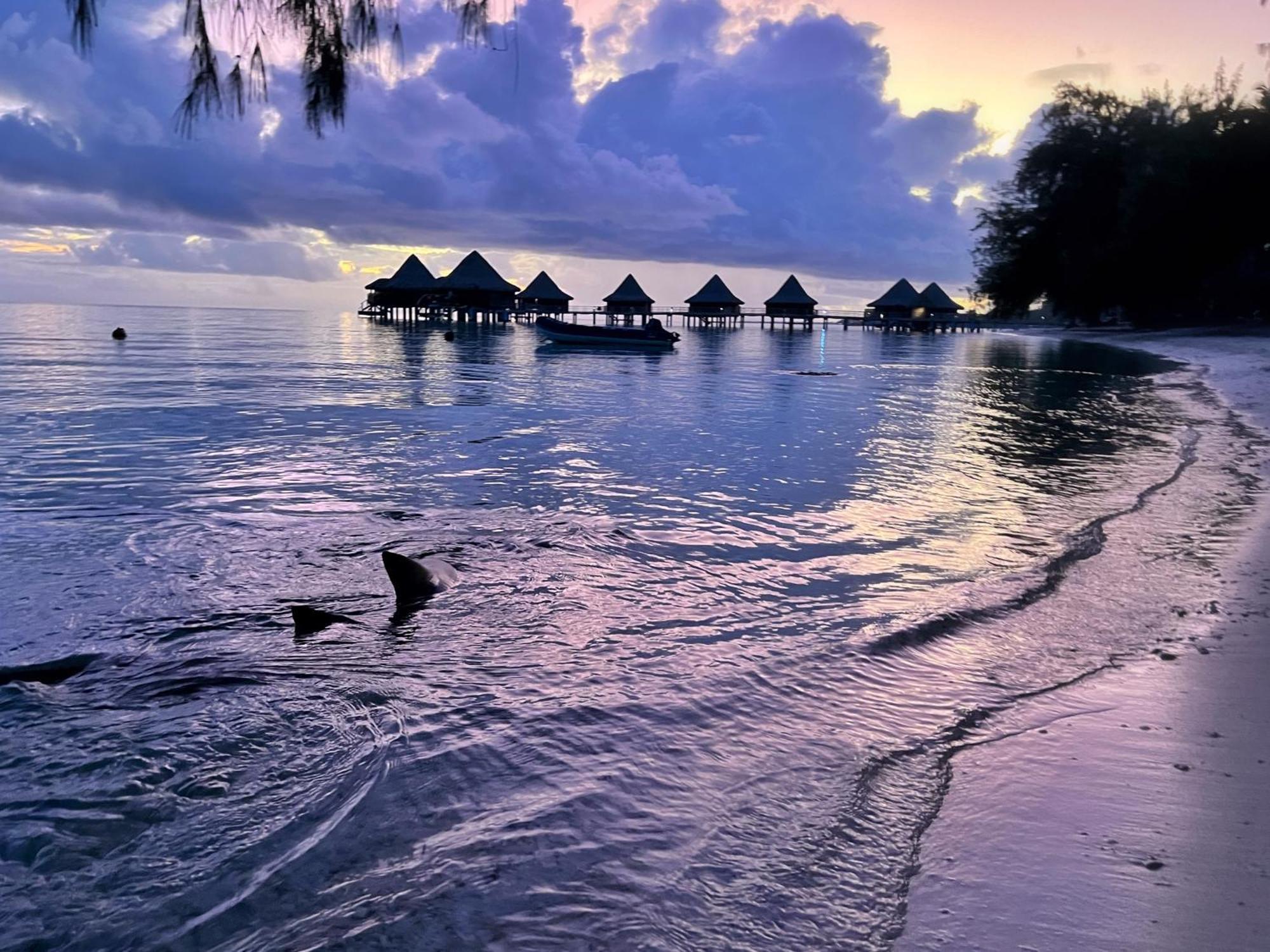 Hinamoe Lodge Avatoru Luaran gambar